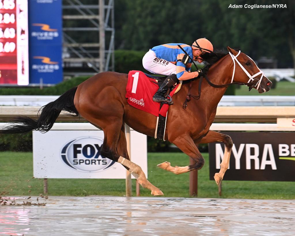 Slightly Busy in Race 5, a one-mile off-the-turf maiden special weight. (Adam Coglianese/NYRA)