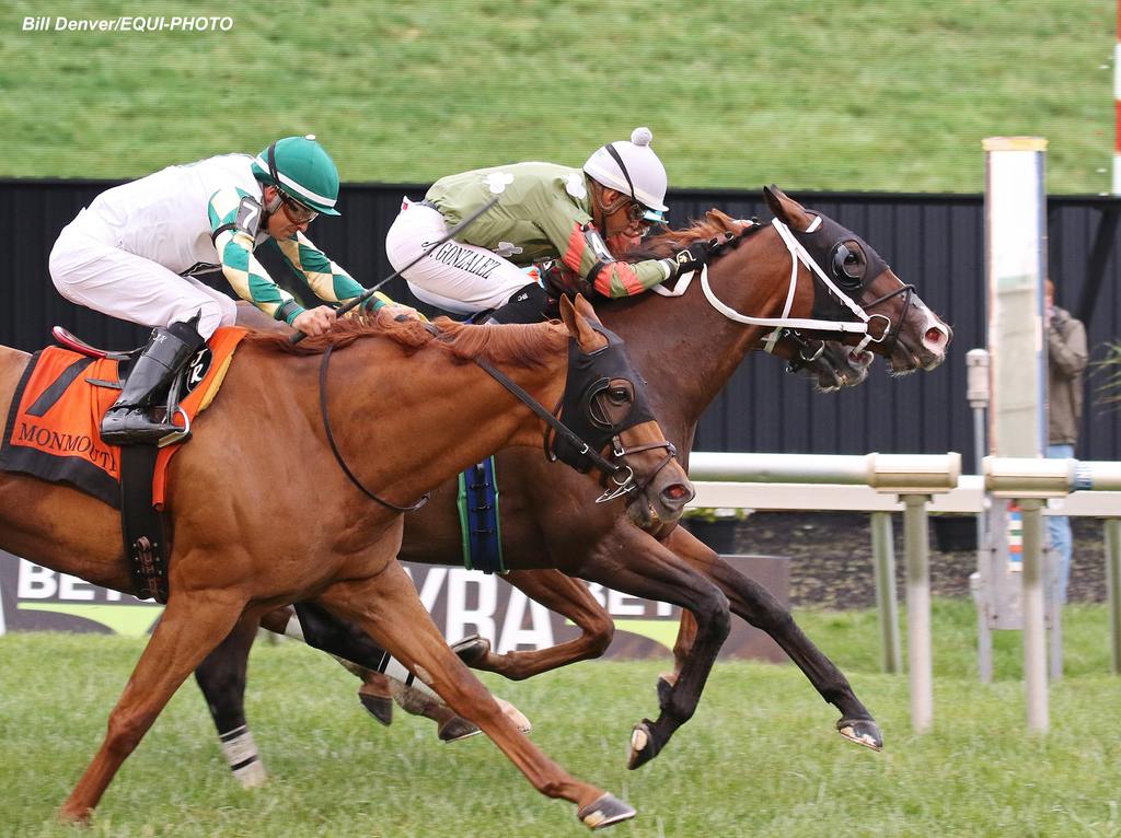 Smithwick's Spice (#4) with Jockey Jorge Gonzalez riding won the $100,000 Select Stakes. (Bill Denver/EQUI-PHOTO)