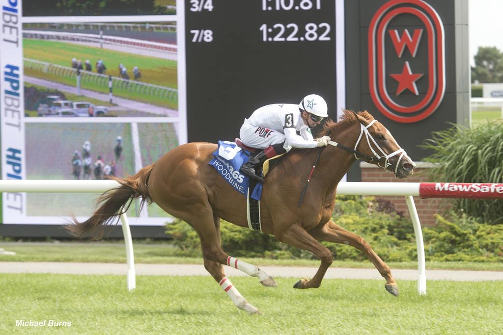 Caitlinhergrtness winning Race 6 at Woodbine on July 6, 2024, at Woodbine (Michael Burns Photo)