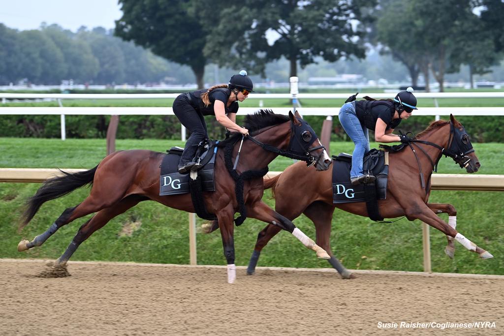 Dornoch (outside) works in company. (Susie Raisher)