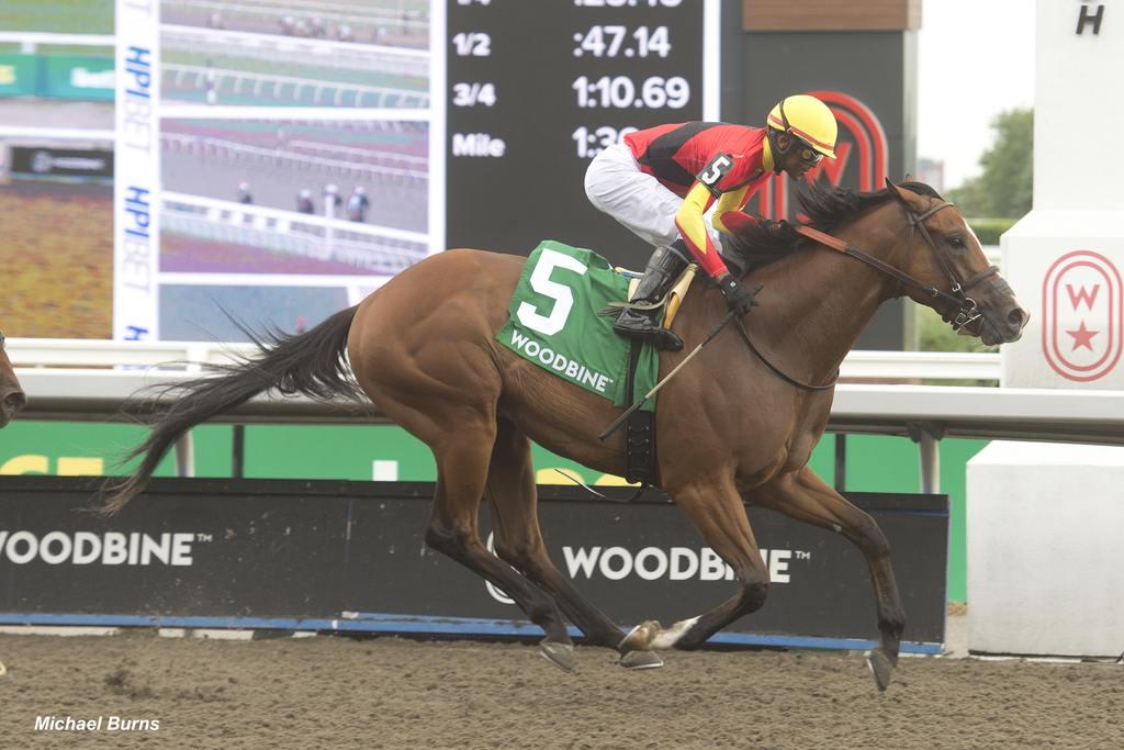 Essex Serpent and jockey Patrick Husbands winning the HPIbet Marine Stakes on June 29, 2024, at Woodbine (Michael Burns Photo)