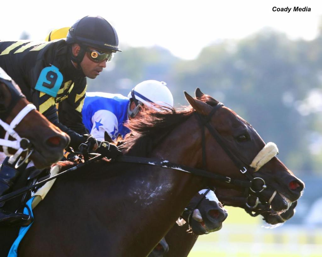 Gear Jockey (#9) narrowly won the $2 million Kentucky Downs Turf Sprint for the second time in three years in 2023. (Coady Media photo)