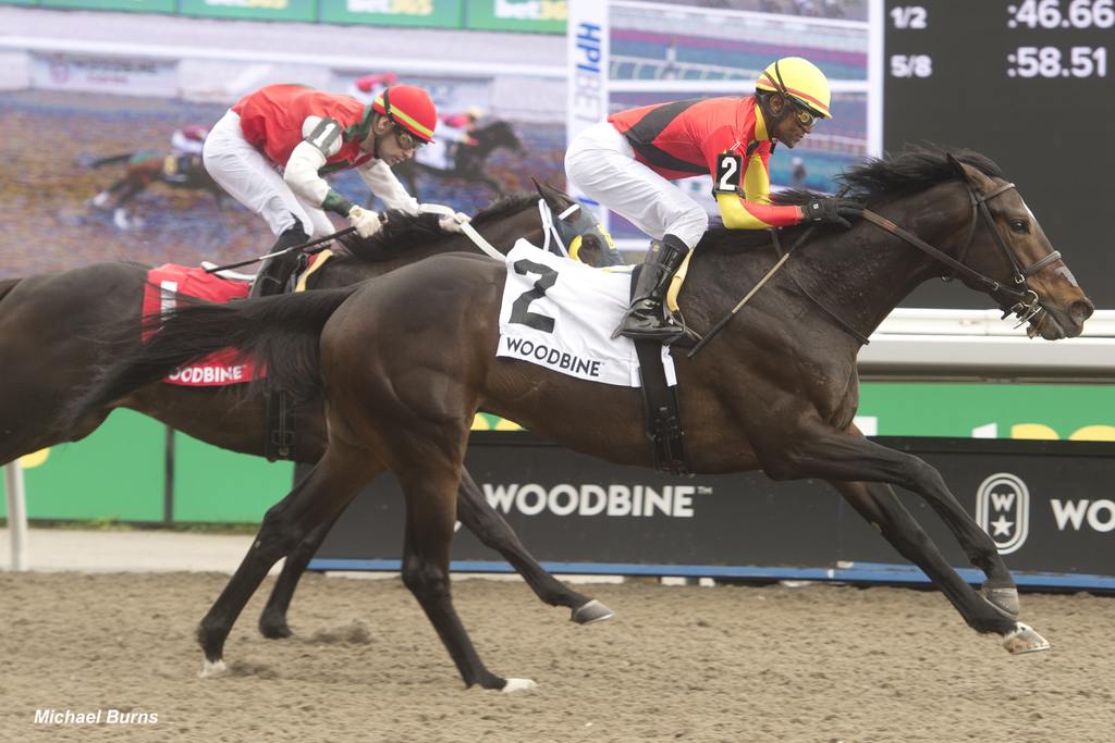 Midnight Mascot and jockey Patrick husbands winning the Woodstock Stakes on April 28, 2024, at Woodbine (Michael Burns Photo)