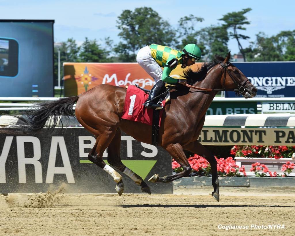 Puca wins an optional claimer at Belmont Park on June 24, 2017 (Coglianese Photo/NYRA)