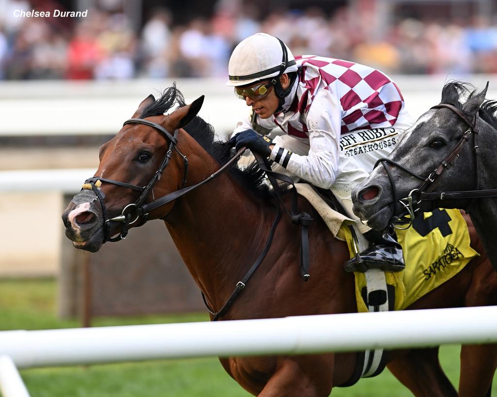 Ridden to victory by Hall of Famer John Velazquez, Courtly Banker scored the win with a smart stalking trip. (Chelsea Durand)