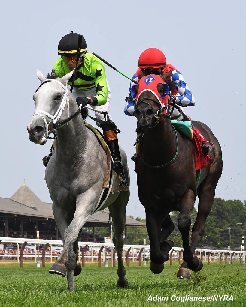 The duel. Jet Sweep Joe inside. (Adam Coglianese/NYRA)